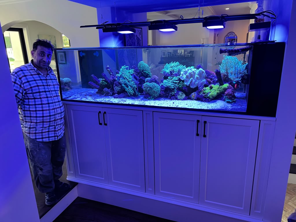 Custom aquarium cabinetry project